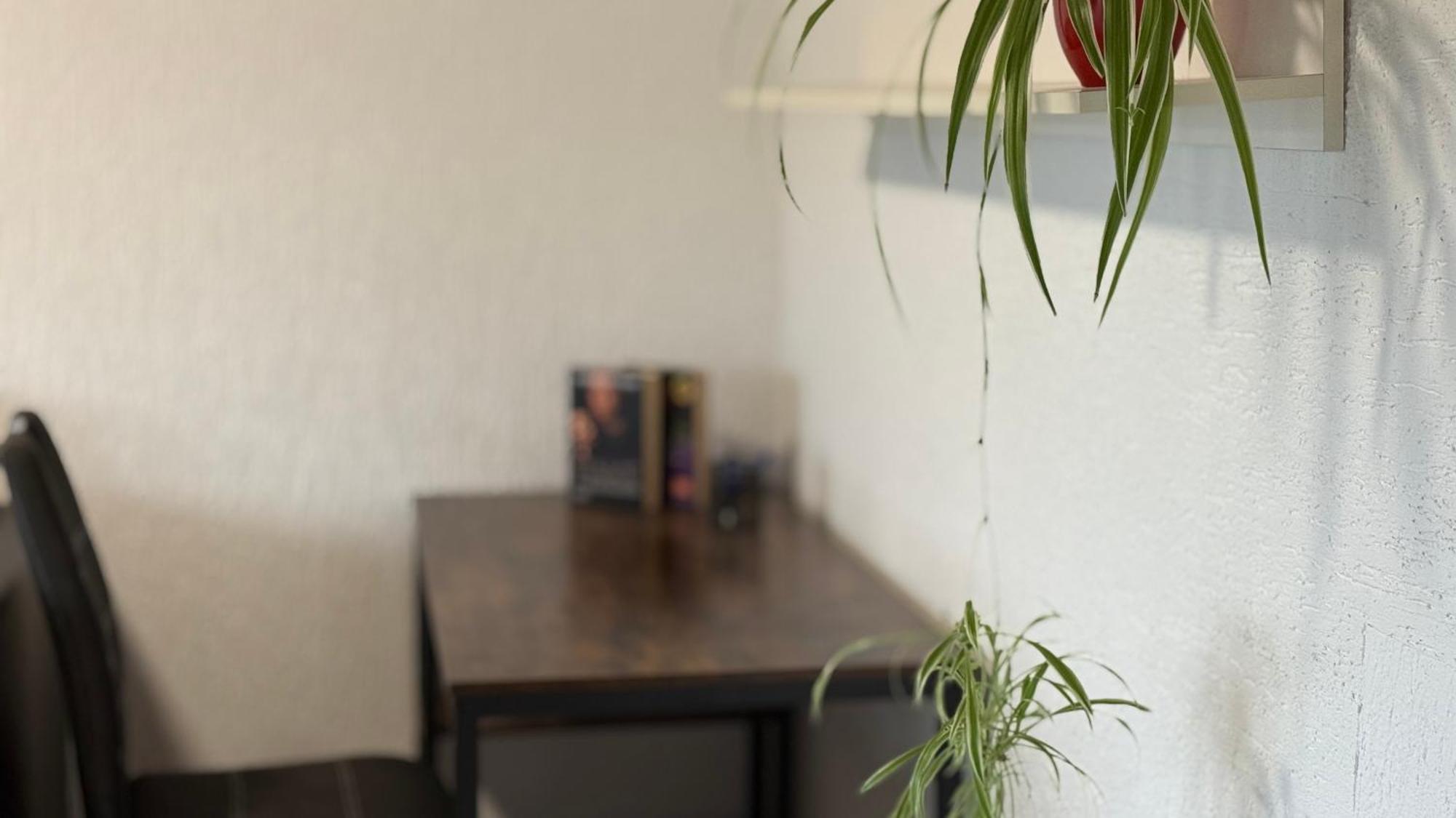 Gemuetliche 2 Zimmer Wohnung Bad Hersfeld Eksteriør bilde